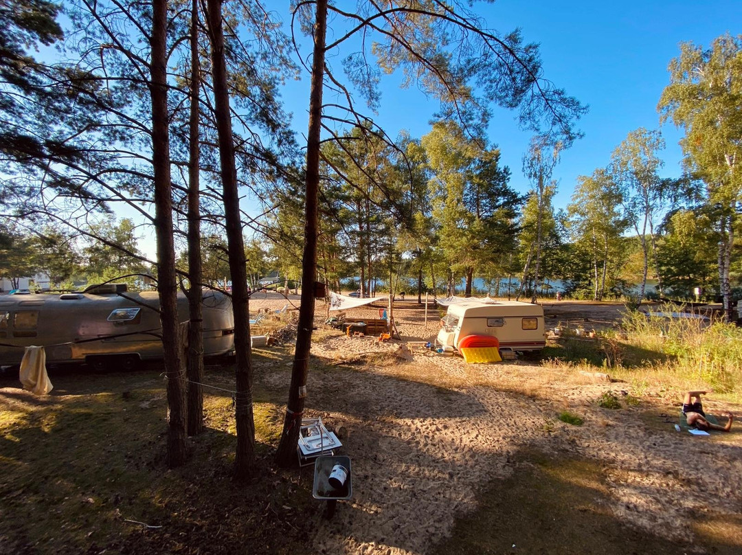 Wake and Camp-Marienwerder必去景点