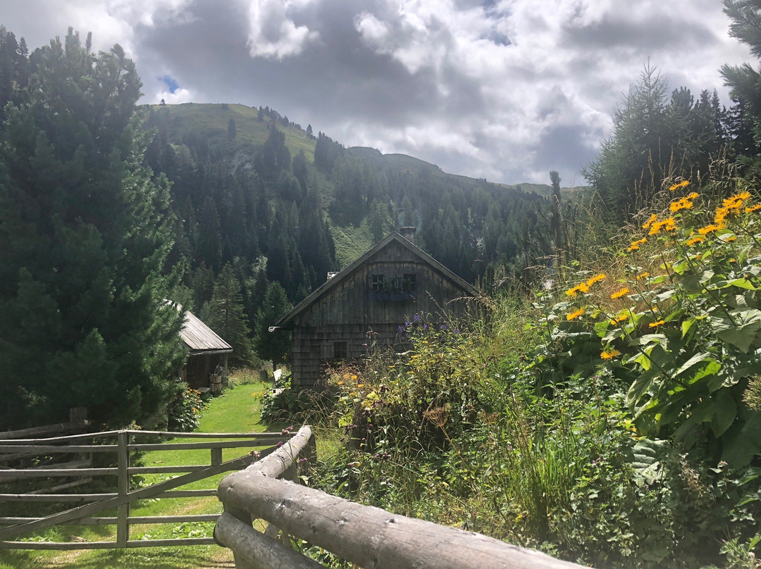 Naturpark Riedingtal-Zederhaus必去景点