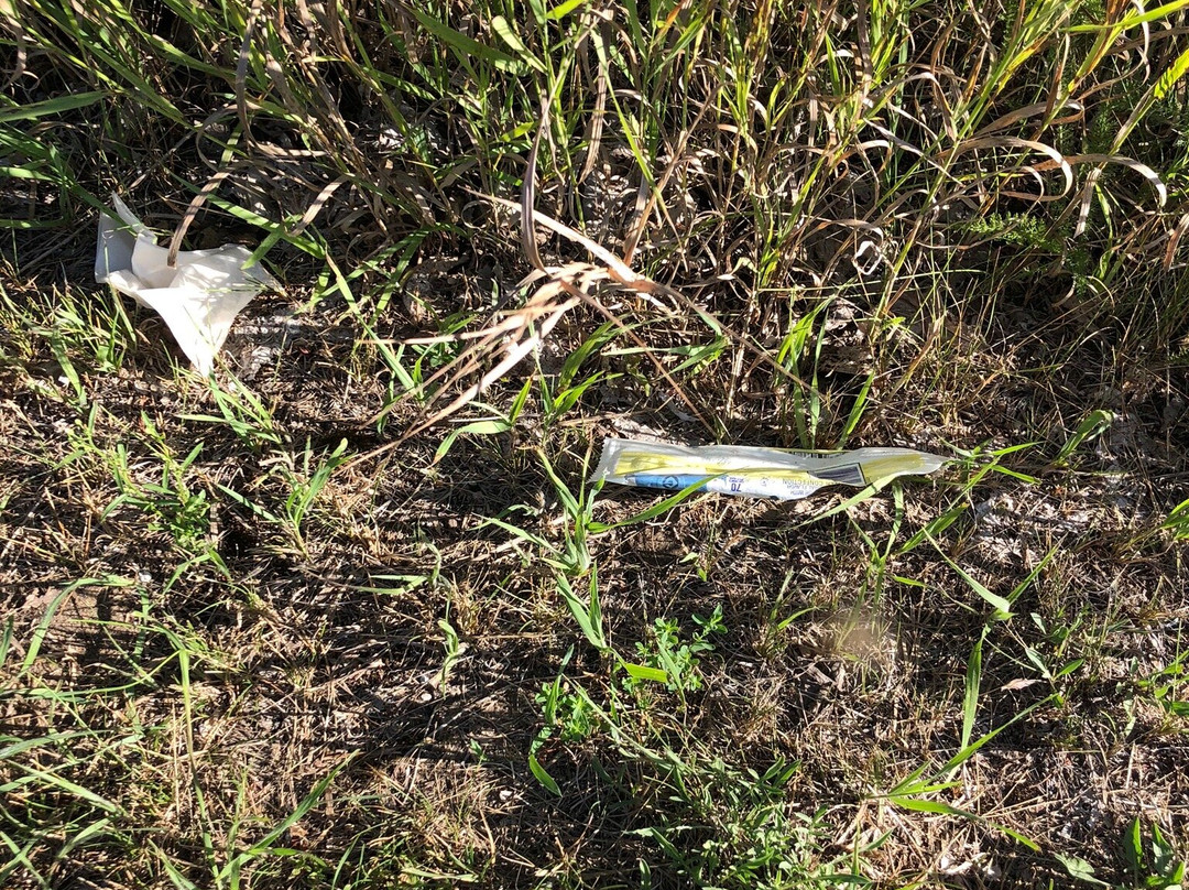 Muskallonge Lake State Park-Newberry必去景点