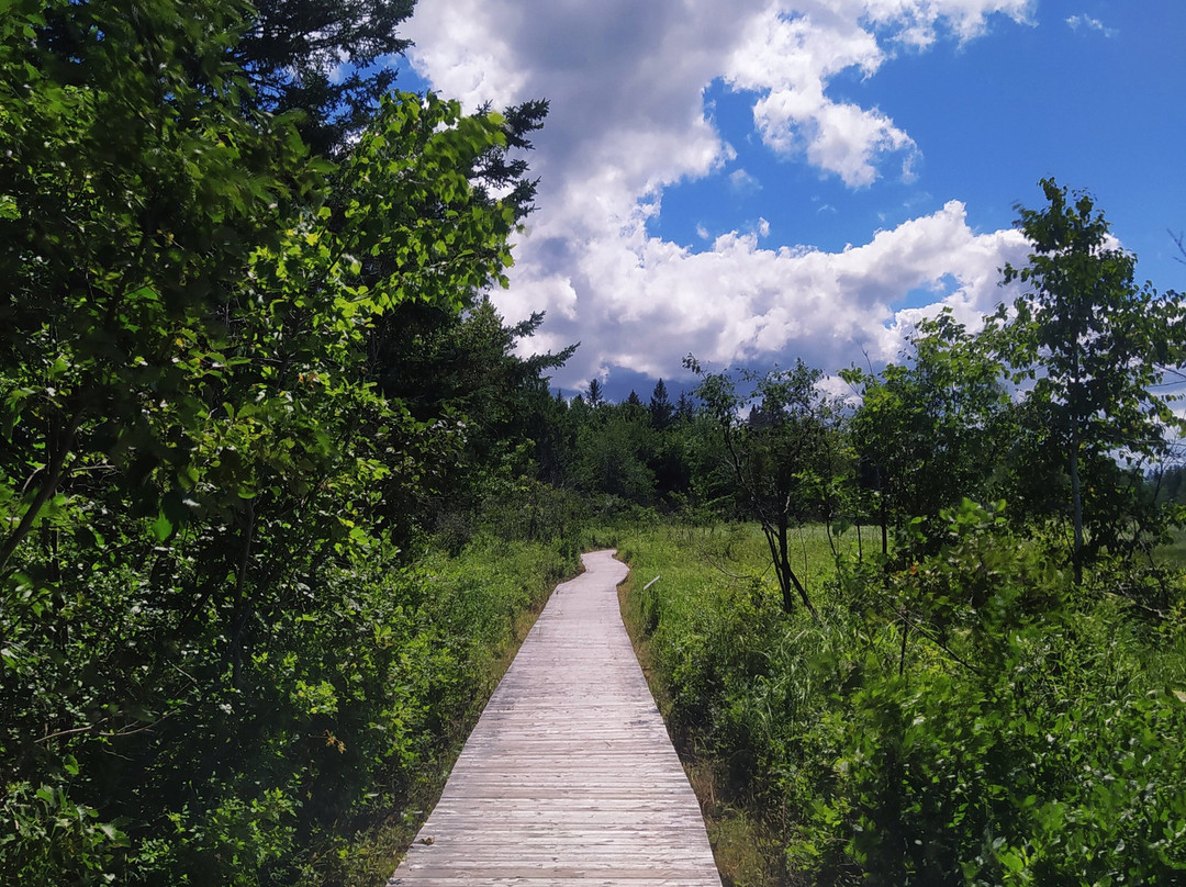 Daly Point Nature Reserve-Bathurst必去景点