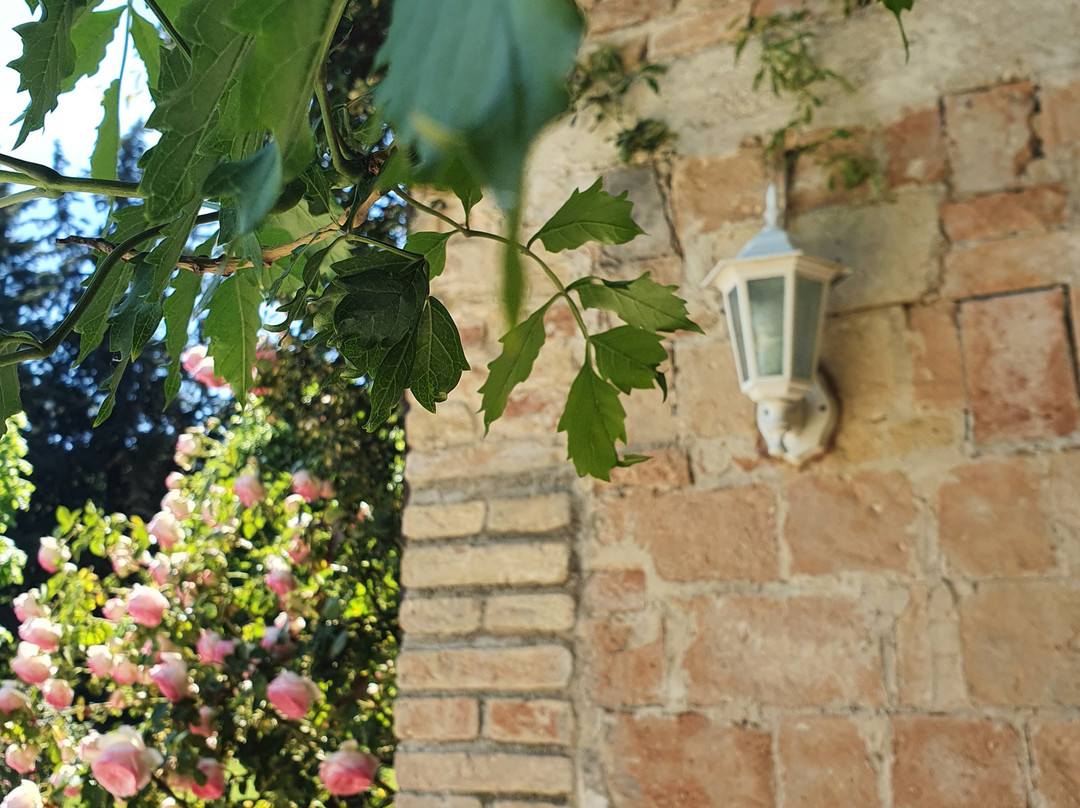 Ripabianca Agriturismo di Charme主图