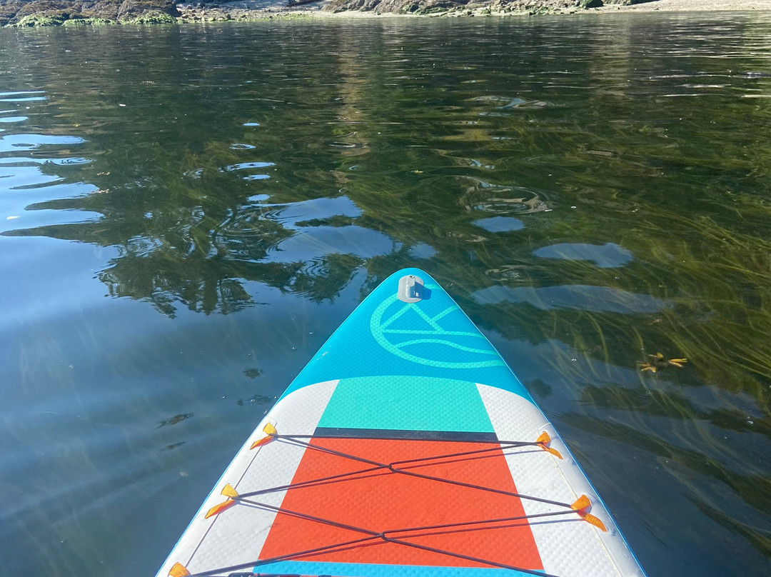 Salt Spring Island Paddle Board Company景点图片