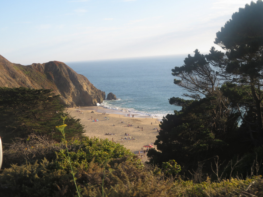 灰鲸湾州立海滩-半月湾必去景点