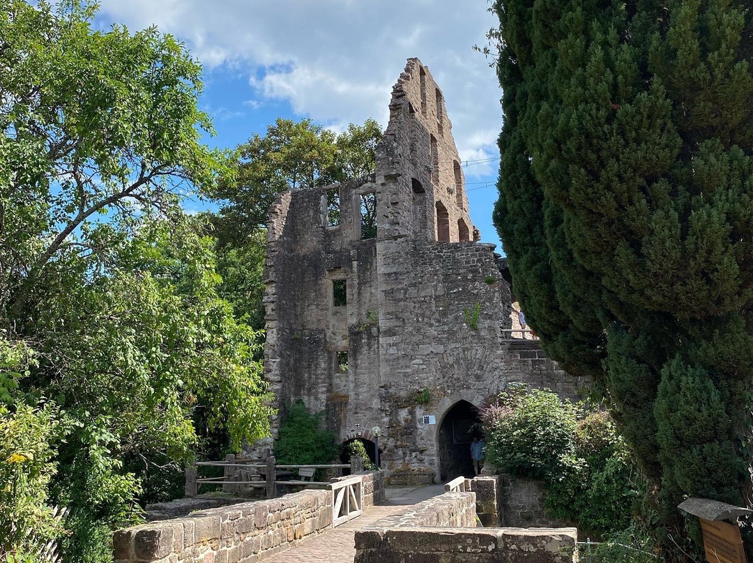 Burg Zavelstein景点图片
