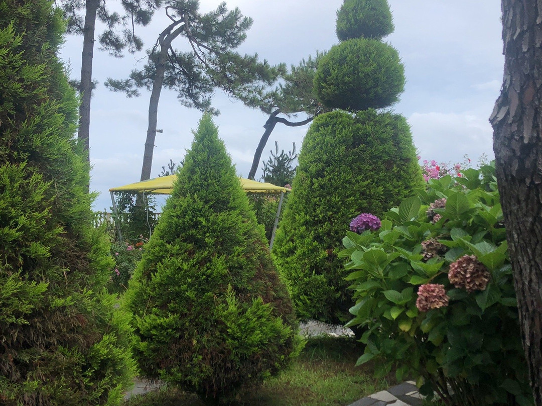 Kolkhida Resort & Spa主图