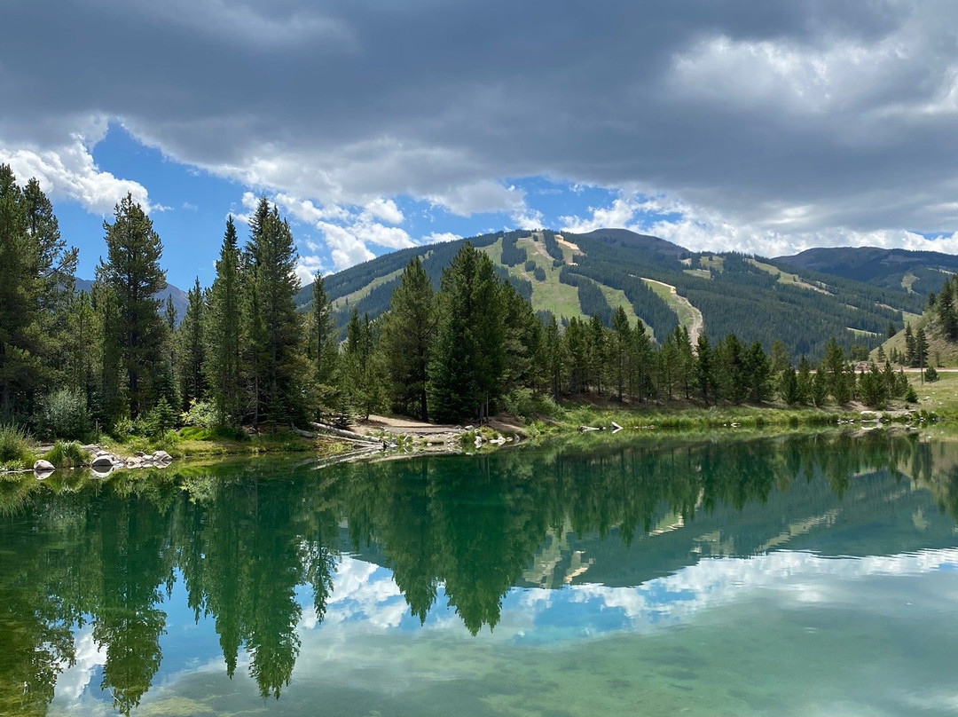 Rebel Sports-弗里斯科必去景点