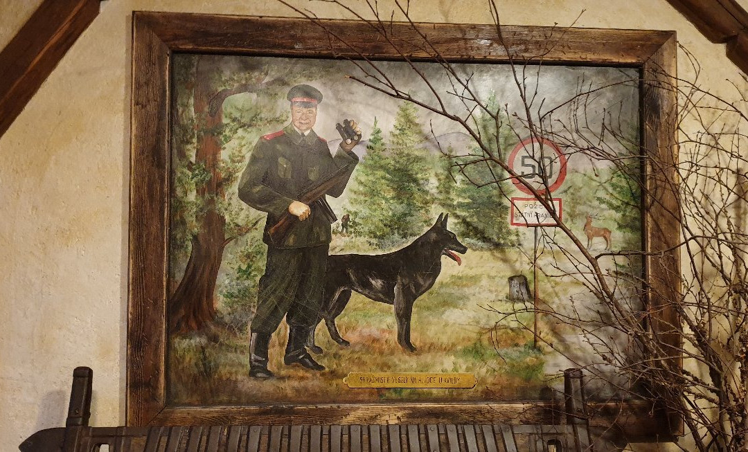 Hotel Sumava Inn主图