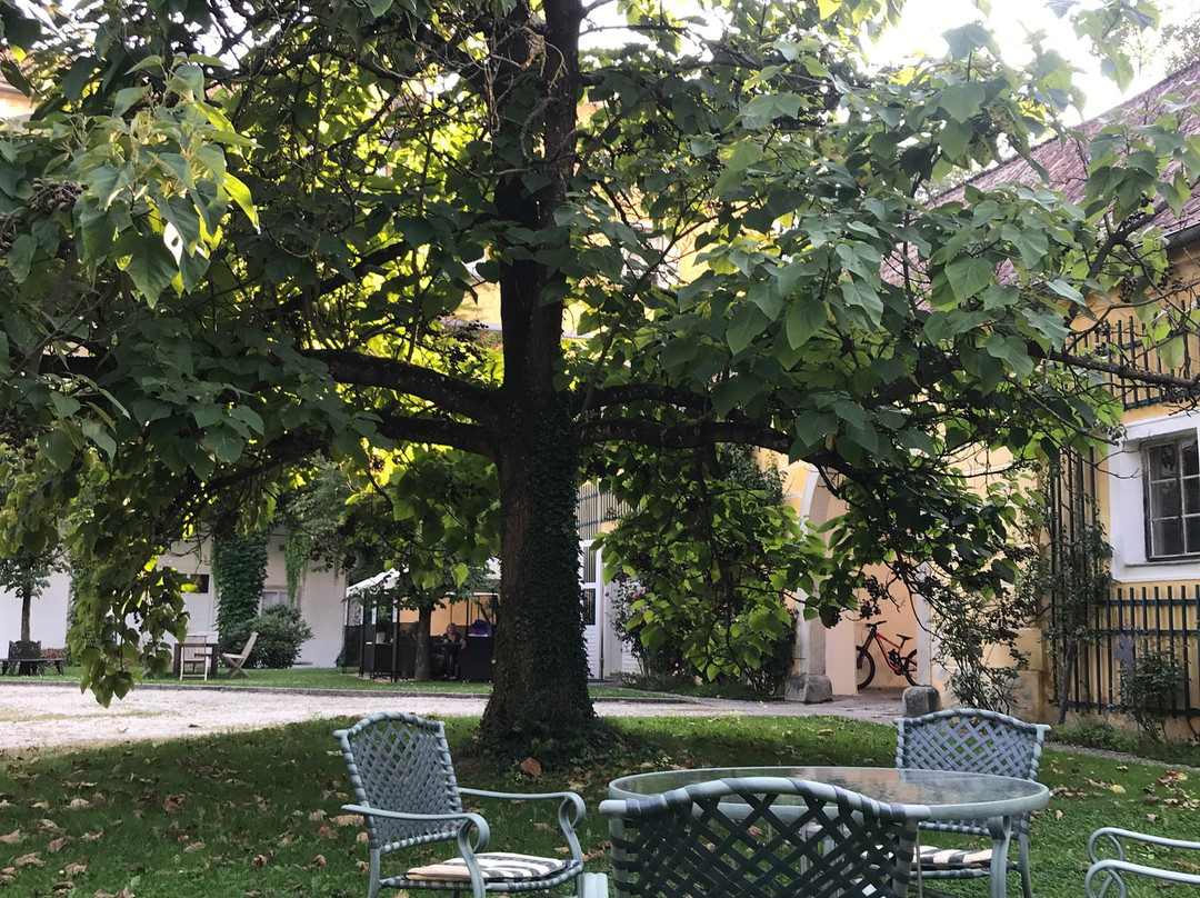 Gastehaus Schloss Aschach主图