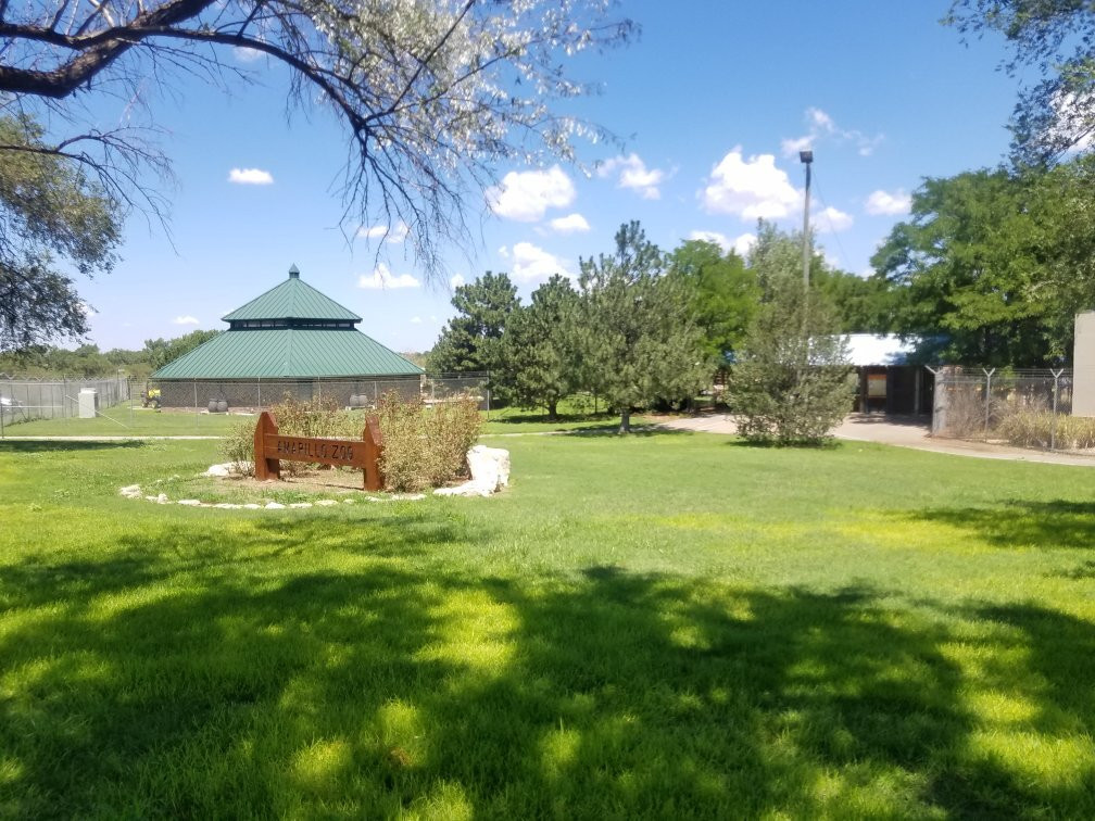 Amarillo Zoo景点图片