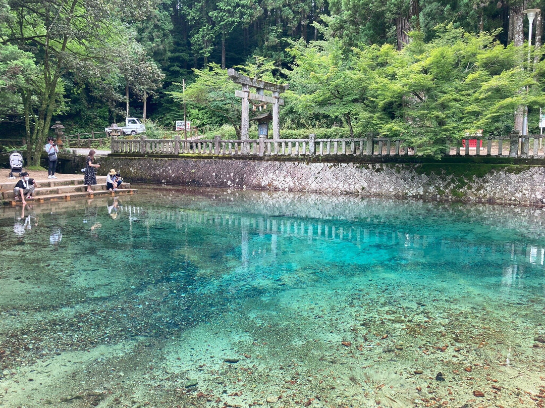 別府弁天池湧水-美祢市必去景点
