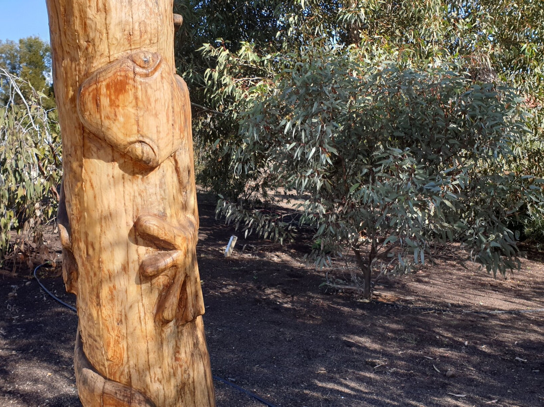 Loxton Community Conservation & Heritage Park景点图片