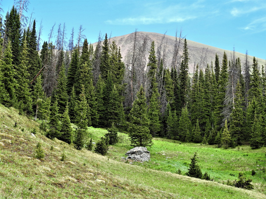 Poudre River Trail-落基山国家公园必去景点