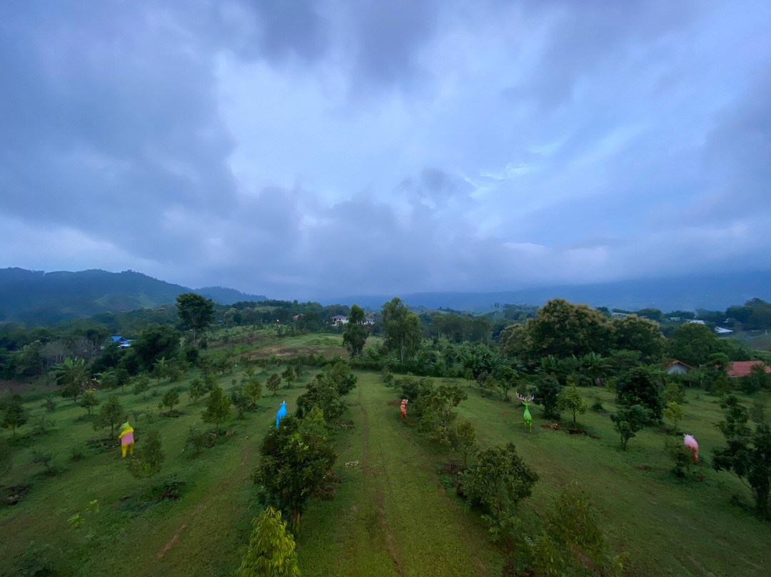 Avocado Resort