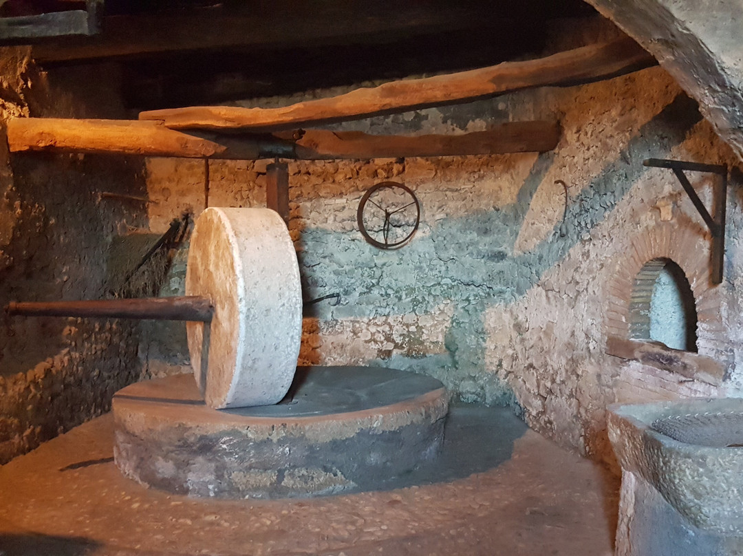 Museo dell'Olio della Sabina景点图片