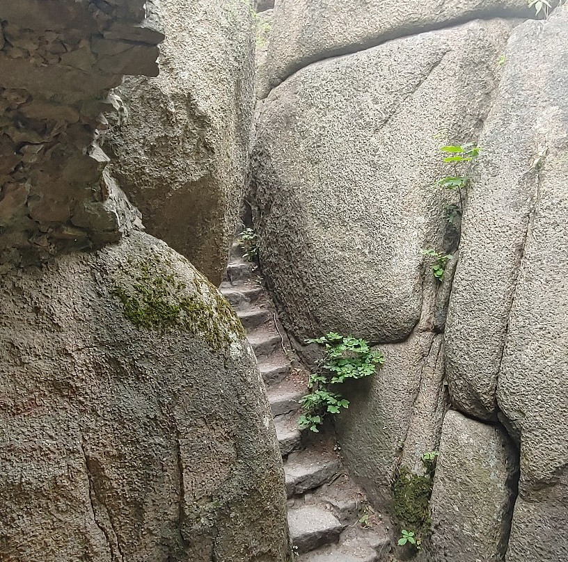 Bolczow Castle景点图片