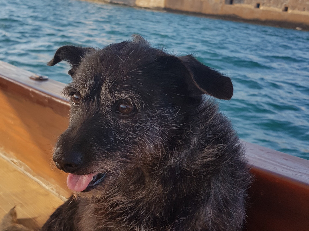 Ortigia Mare Escursioni-锡拉库扎必去景点