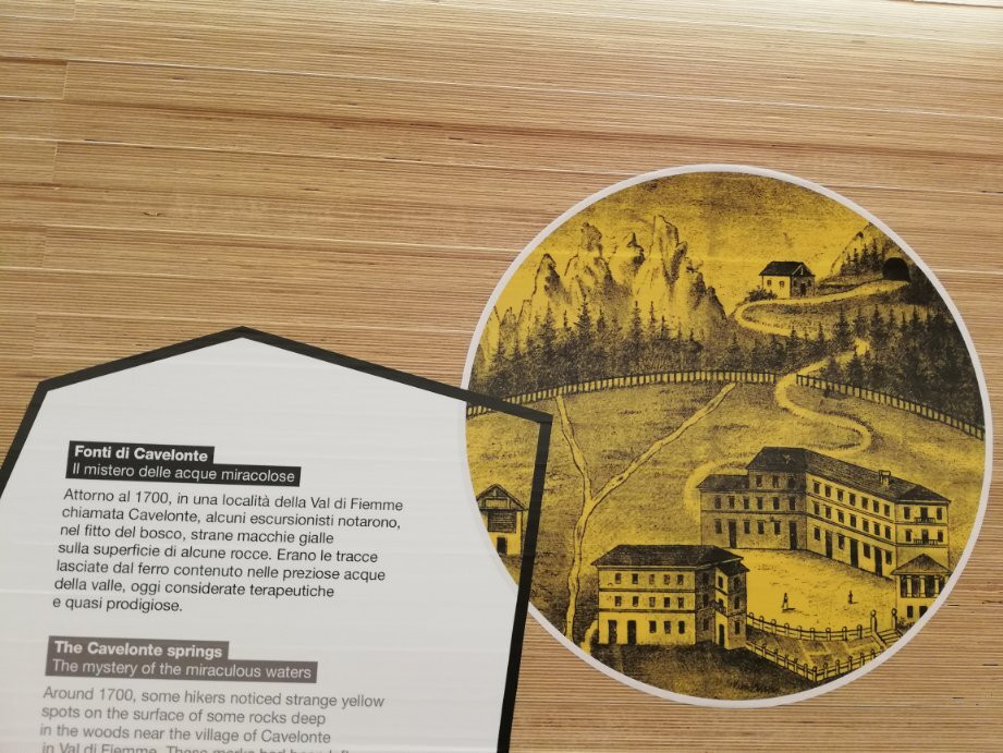 Geological Museum of the Dolomites景点图片