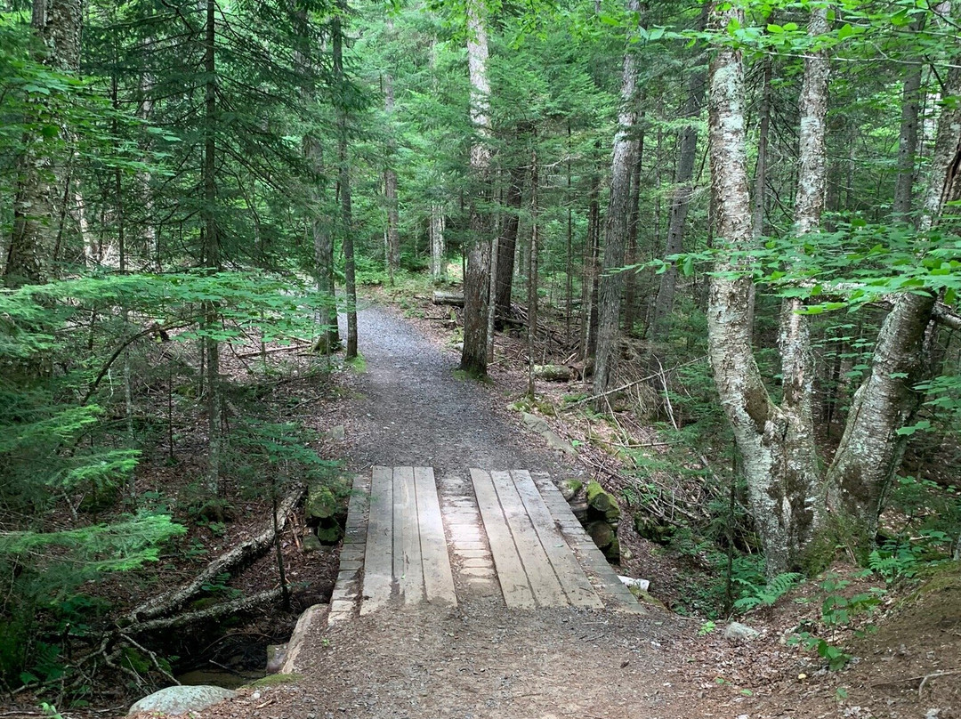 Henry's Woods-普莱西德湖必去景点