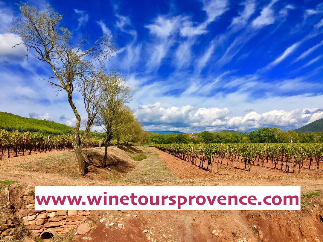 Wine Tours Provence & Riviera-Cogolin必去景点