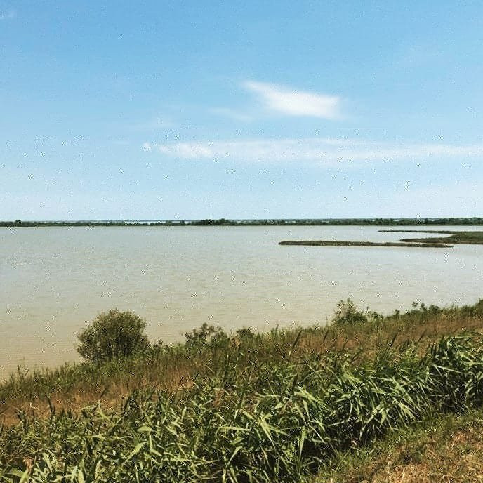 Saline Di Comacchio景点图片
