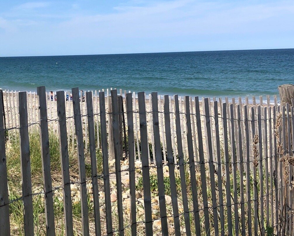 Duxbury Beach Park景点图片