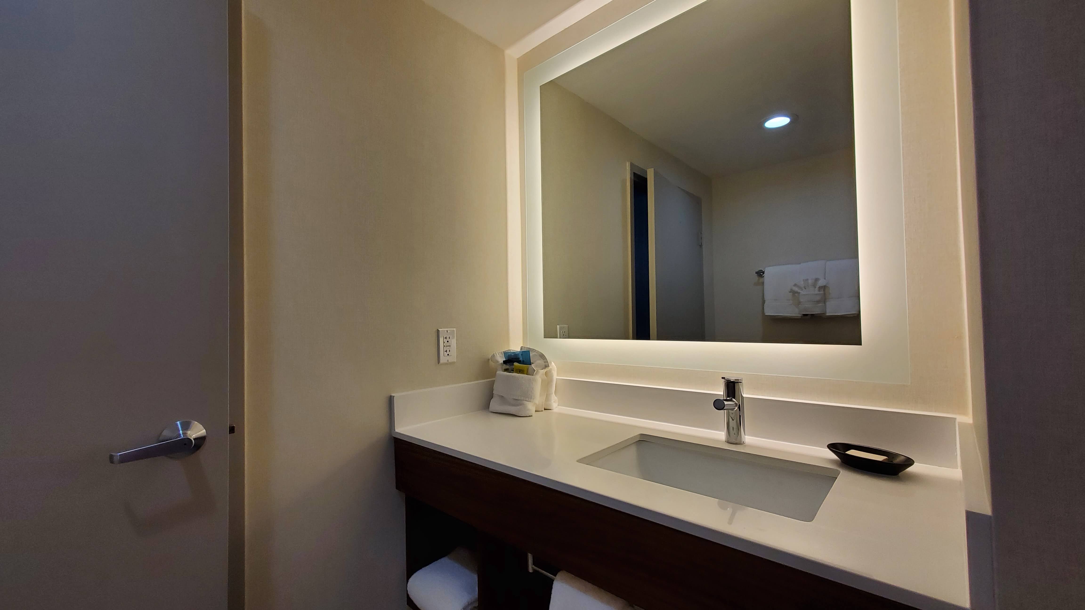 隆波克智选假日酒店-浴室