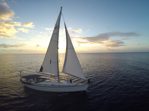 Taste & Travel Italy - FREE TOUR and more