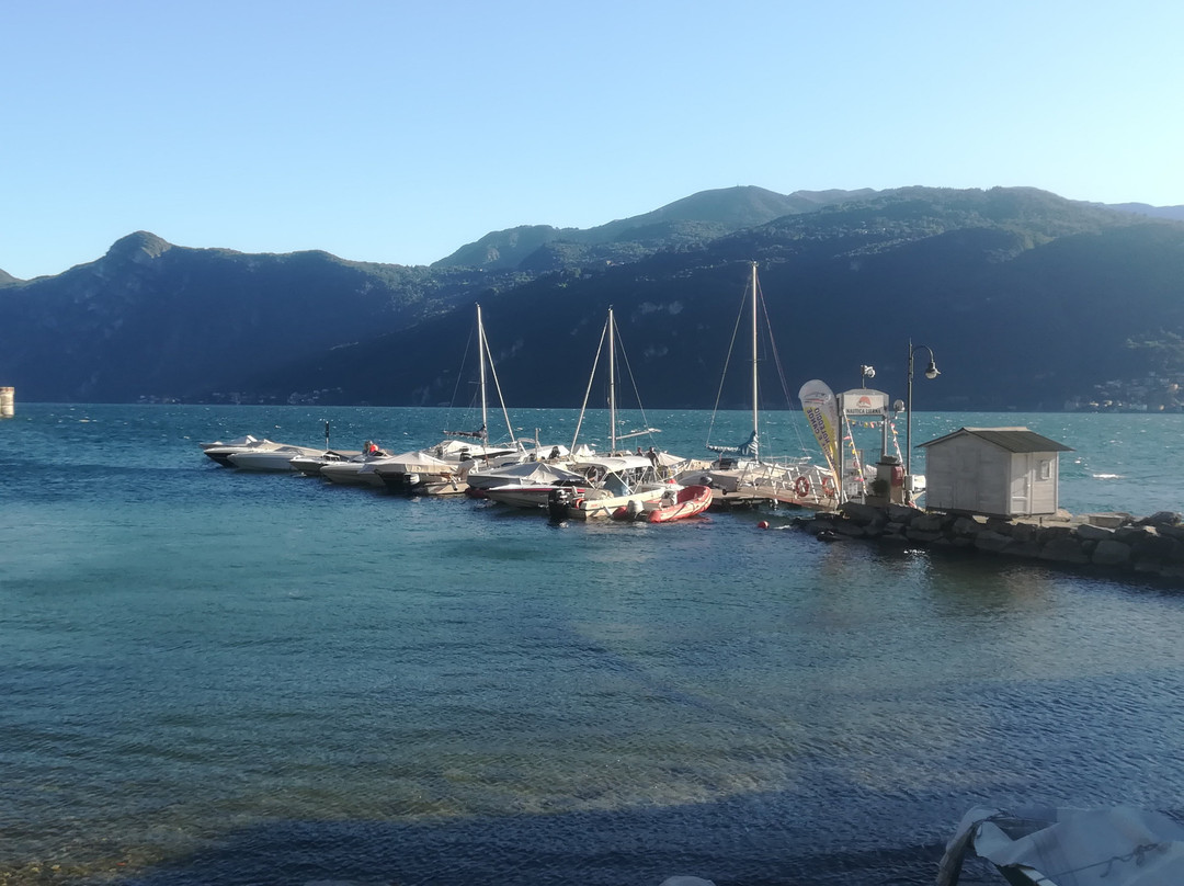 Le Ortensie Due主图