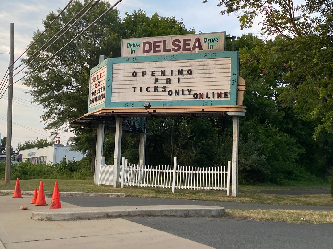 Delsea Drive-In Theatre景点图片