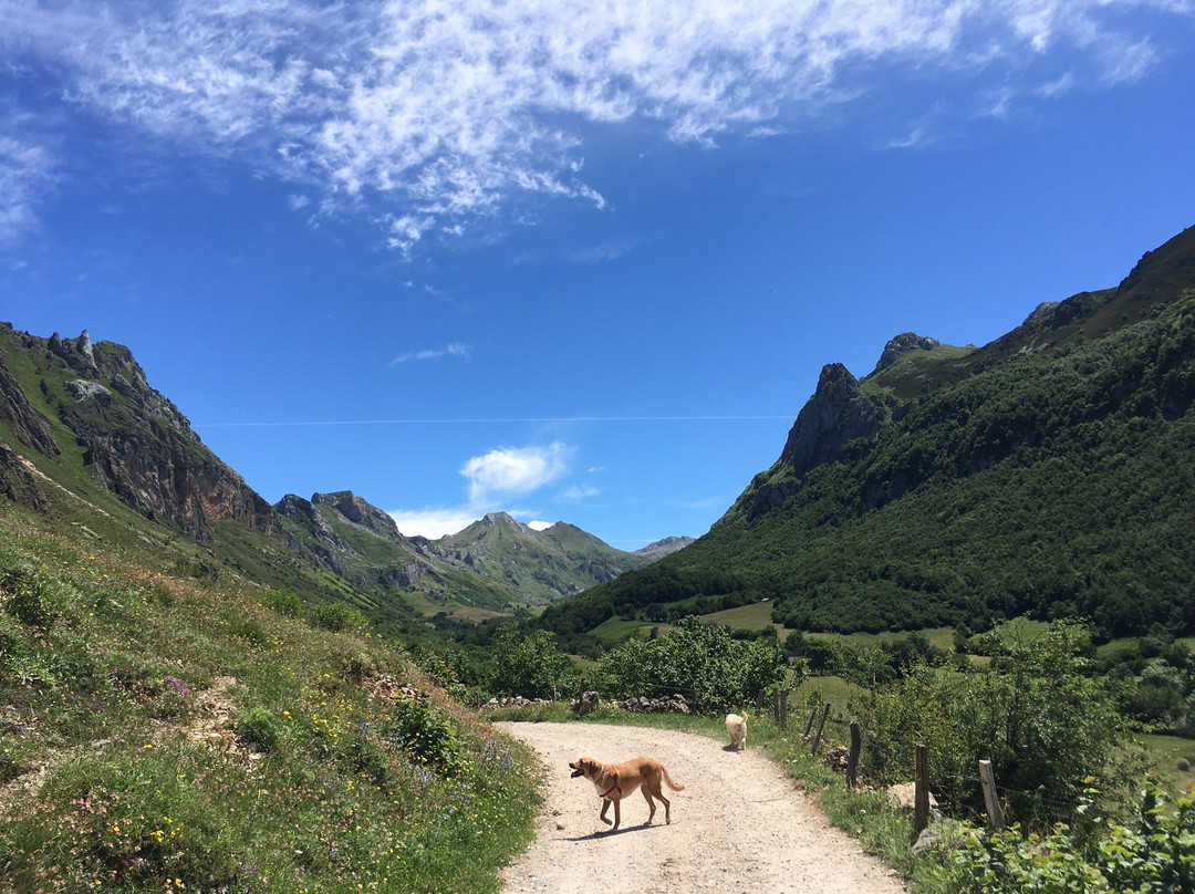 Parque Natural de Somiedo景点图片