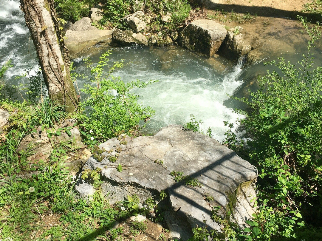 Buck Creek Trail景点图片