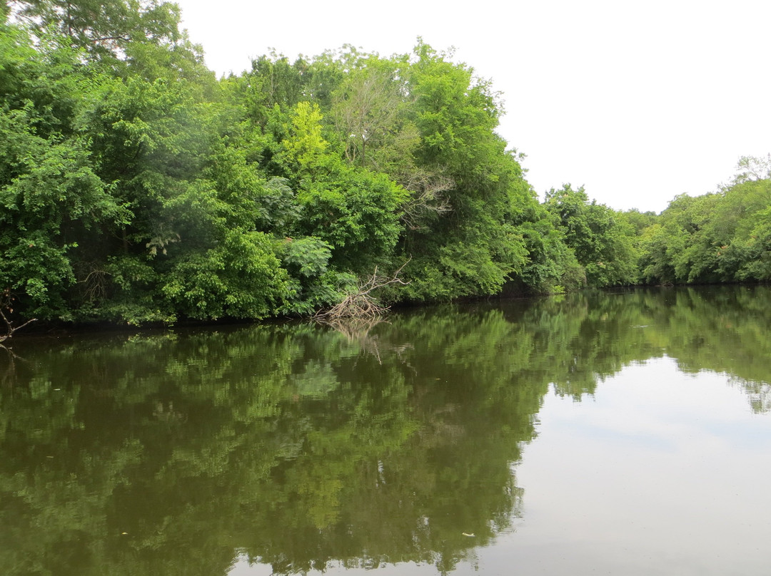 Limestone Bluffs Paddling Trail