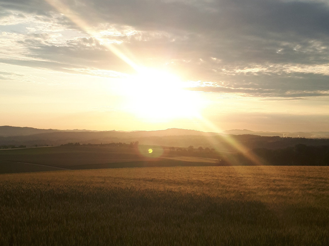 Kirschblutenweg