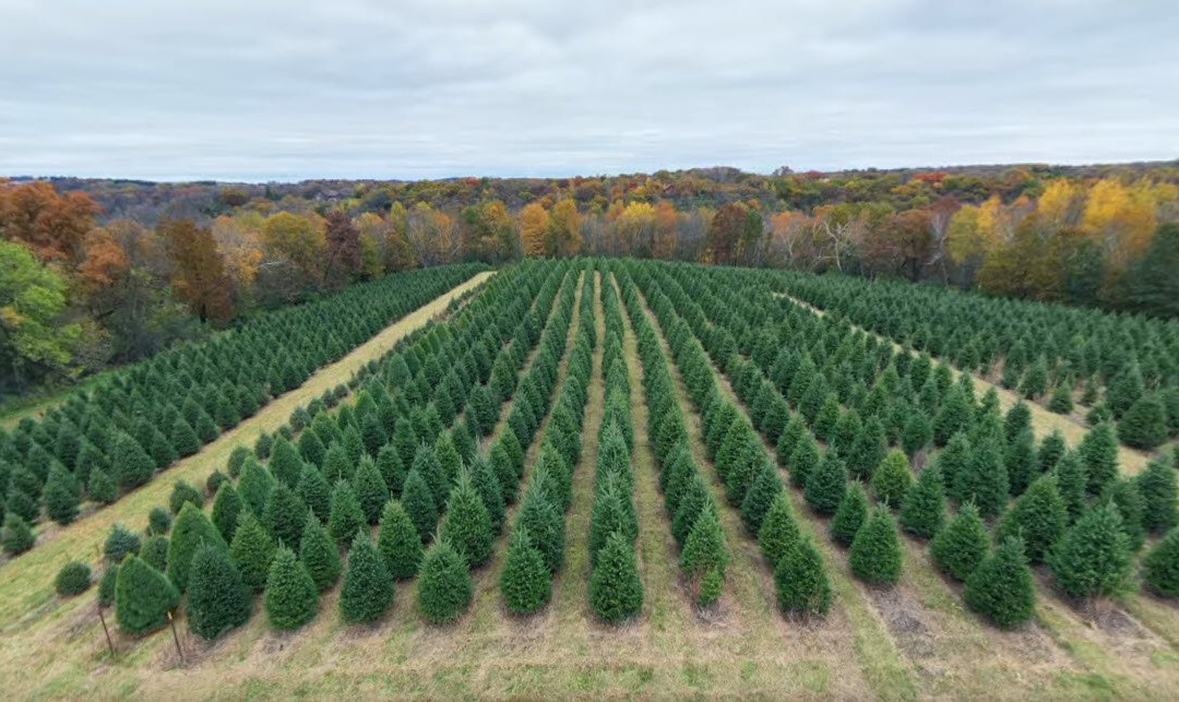 Enchanted Valley Acres-Cross Plains必去景点