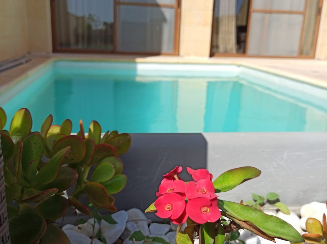 DGolden Valley Boutique主图