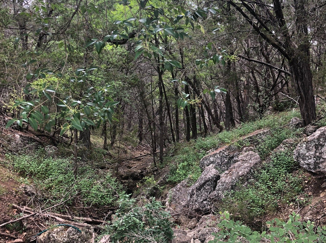 Grelle Recreation Area-Spicewood必去景点