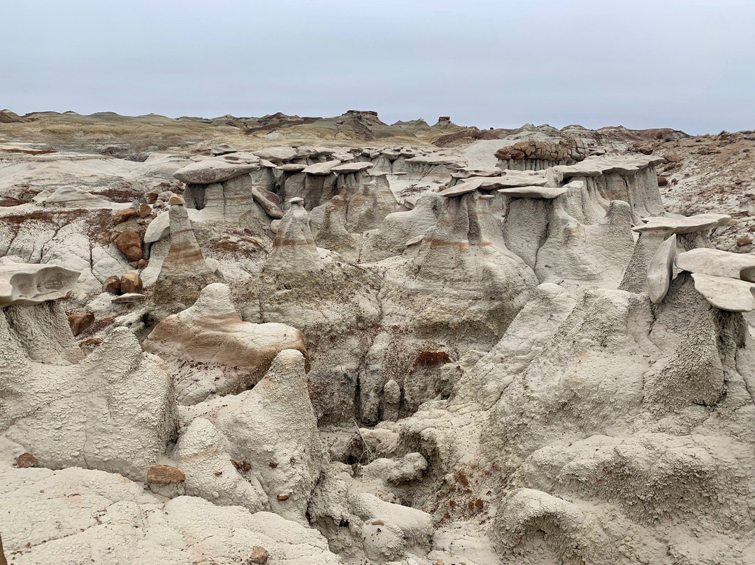 Bisti/De-Na-Zin Wilderness-Bloomfield必去景点