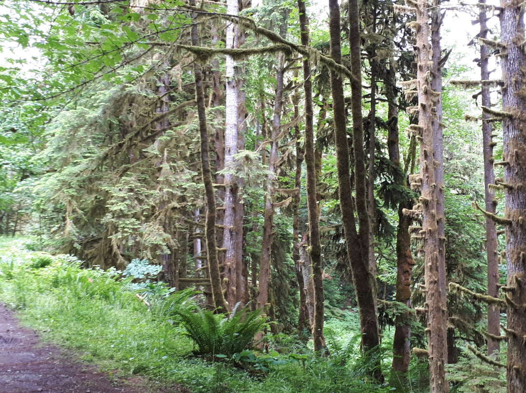 Cowichan Valley trail景点图片