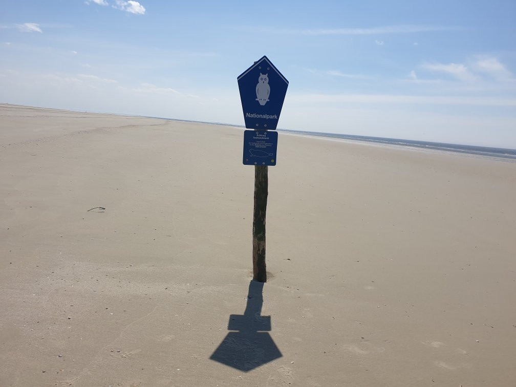 Seehundbank auf Borkum-Borkum必去景点