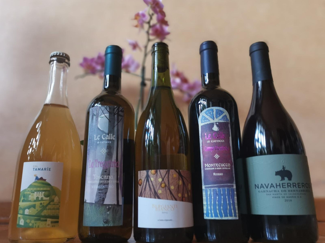 Simposio Biblio-Enoteca Naturale-都灵必去景点