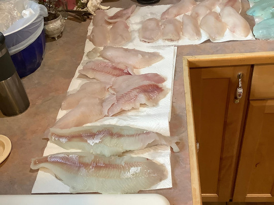 Yaquina Bay Charters-纽波特必去景点