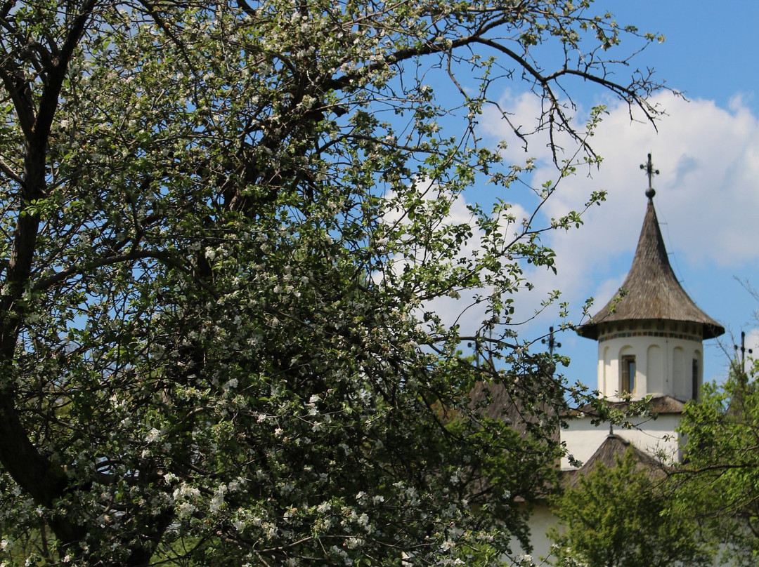 Biserica Inaltarea Sfintei Cruci-Patrauti必去景点