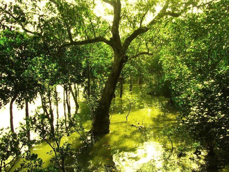National Botanical Garden景点图片