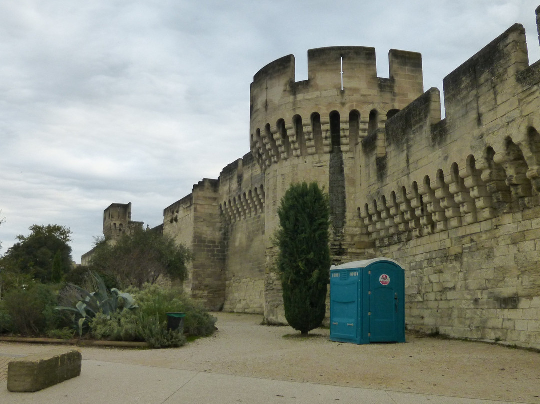 Remparts d'Avignon景点图片