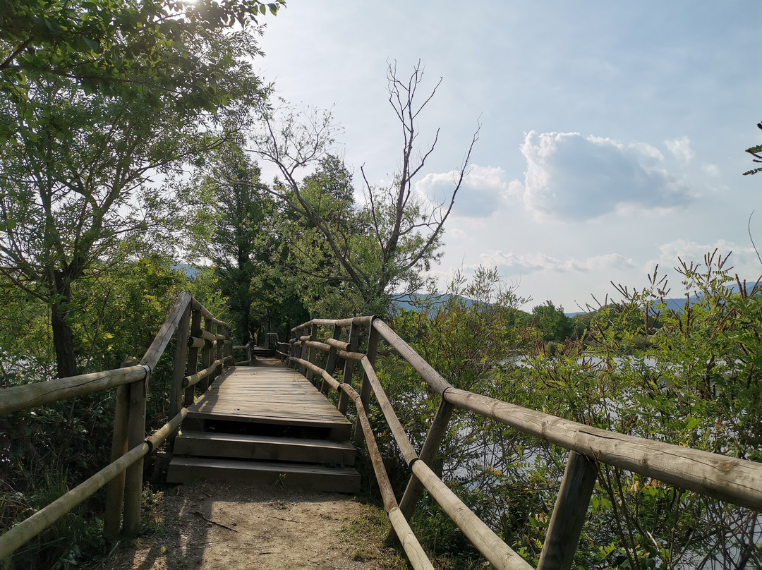 Torbiere del Sebino景点图片