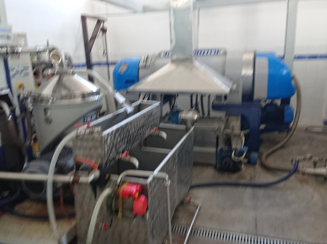 Cretelaio Olive Oil Mill Tour景点图片