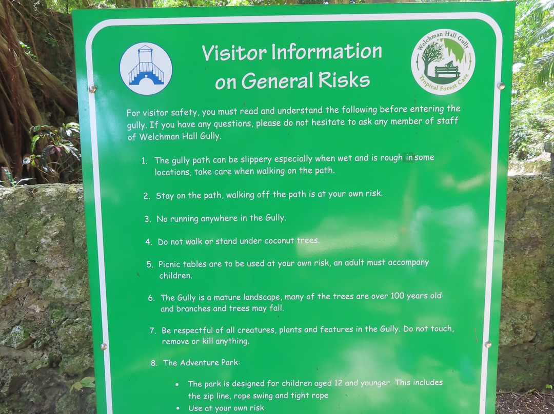 Welchman Hall Gully-Saint Thomas Parish必去景点