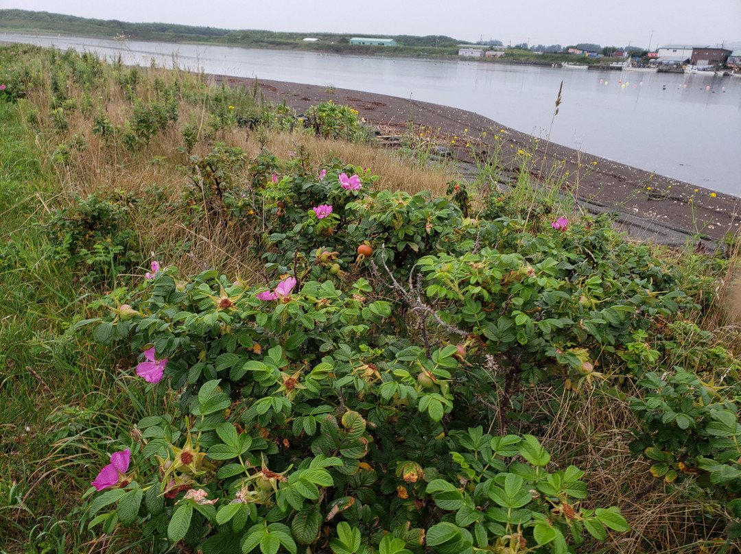 Lake Saroma Wakka Nature Centre-北见市必去景点