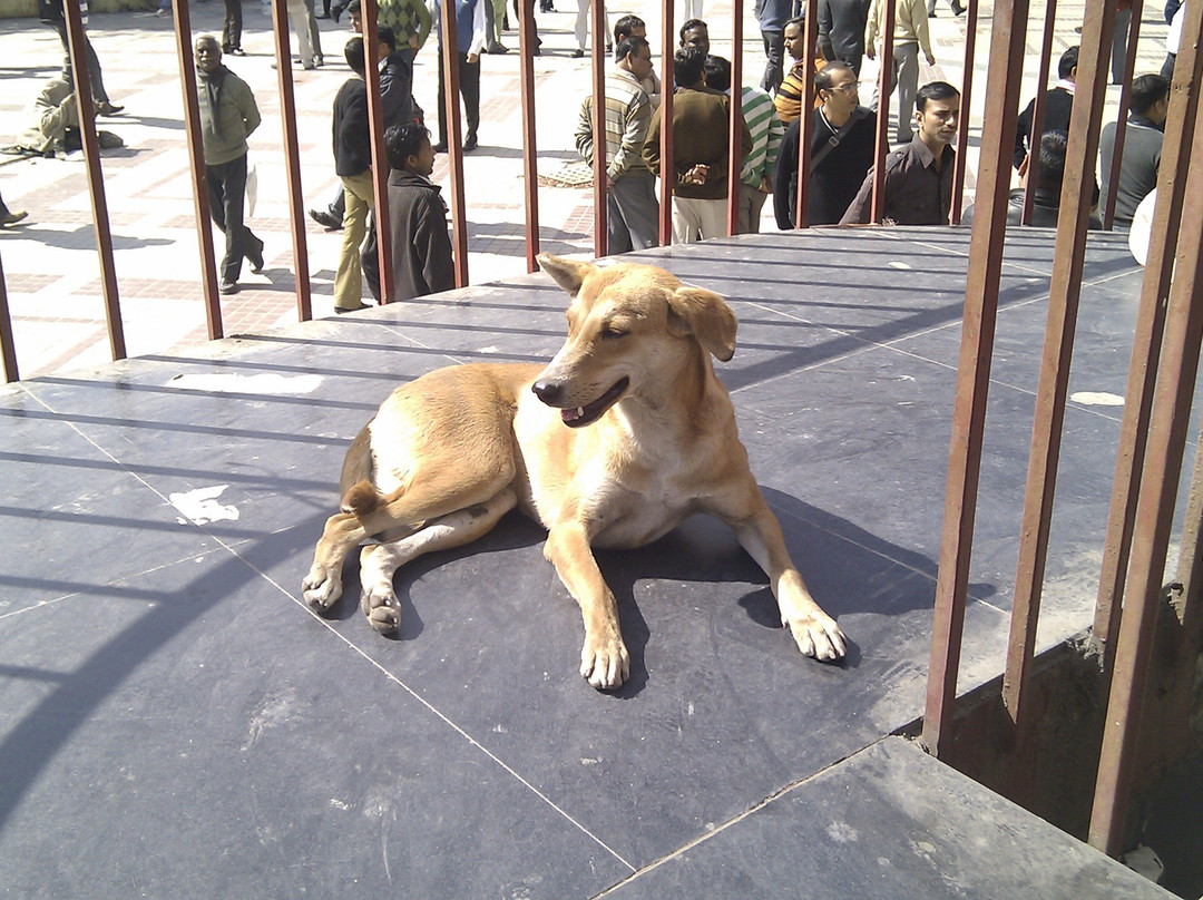 Nehru Place-新德里必去景点