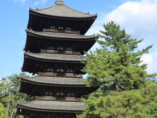 Kofuku-ji Temple 5 Stories Pagoda-奈良市必去景点